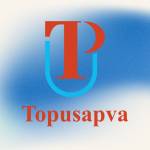 Topusapva SEO services