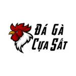 Đá gà cựa sắt - Trực tiếp đá gà hd, bình luận ch