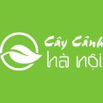 Công Ty TNHH MTV Cây Cảnh Hà Nội