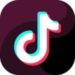 Snap Tik