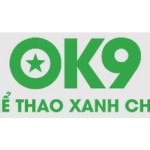 Ok9 Business