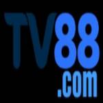 TV 88