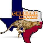 Cheetah movingdfw