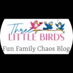 Fun Family Chaos