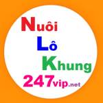 Nuôi Lô Khung 247 Vip