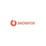 Snow fox