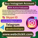 Buy Instagram Accounts with Active Followers USA