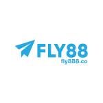 Fly888 co