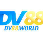 DV 88