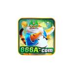 666a