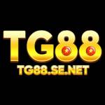 TG88 SENET