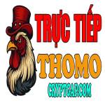 ĐÁ GÀ TRỰC TIẾP