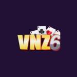 VNZ6