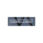 Győrfi Daru