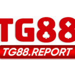 TG 88