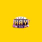 Haywin1 fund