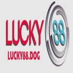 Lucky88