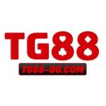 Nhà cái TG88