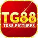 TG88 com