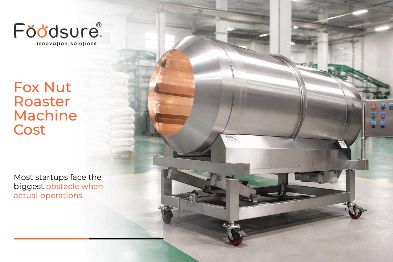 Fox Nut Roaster Machine Cost | Complete Setup & Investment Guide