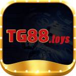 Tg88 Toys