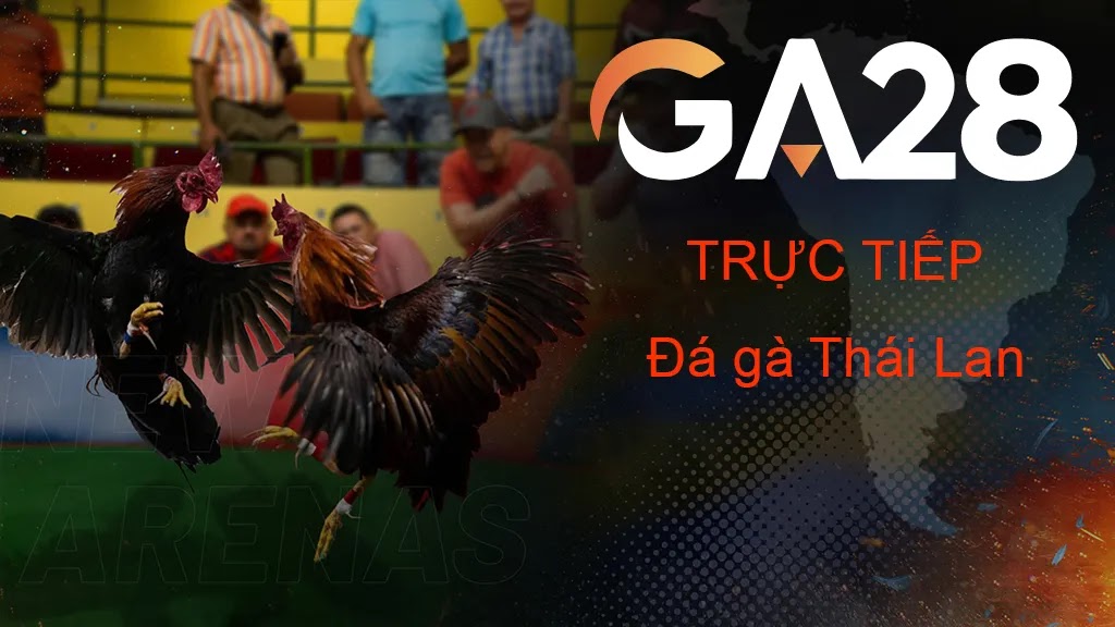Khám Phá Trải Nghiệm Đỉnh Cao Với Đá Gà GA28 Tại Vegas79