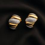 Western Earrings