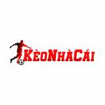 TỶ LỆ KÈO NHÀ CÁI