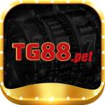 tg88 pet