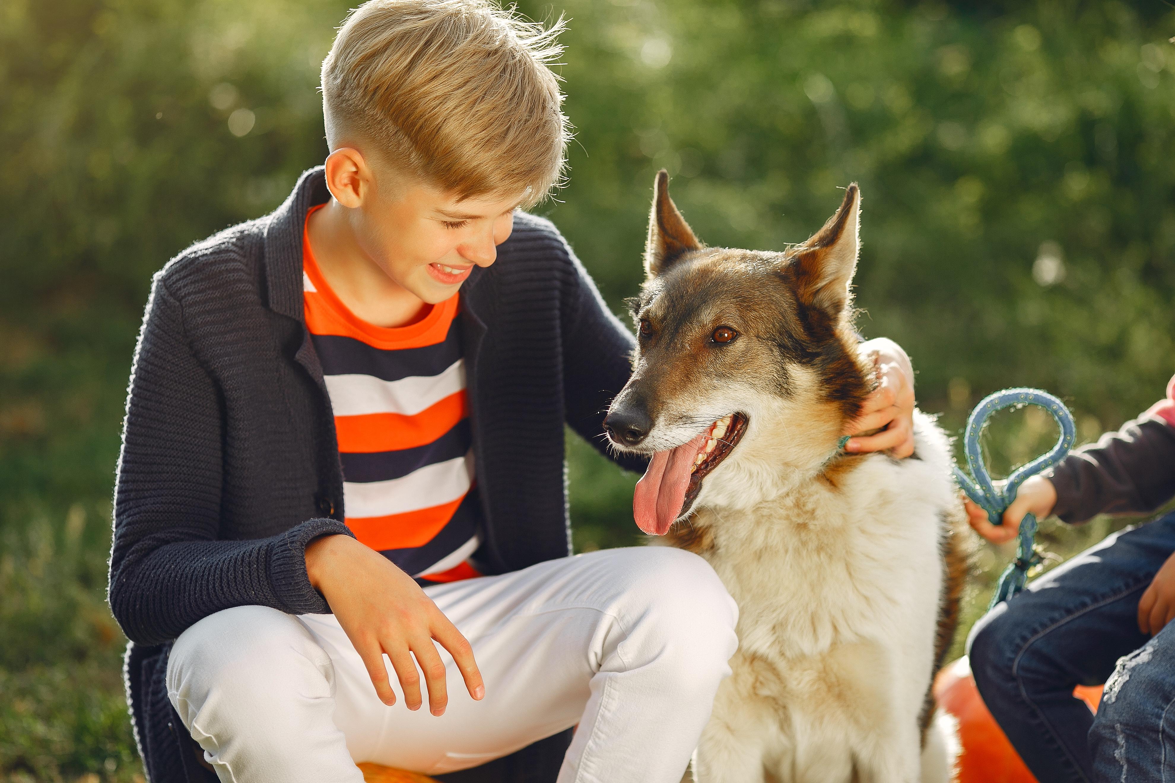 Healing Through Connection: Therapy Dogs and Music Therapy for...