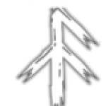 scandi cinstruments