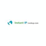 Instant IP Lookup