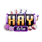 Haywin