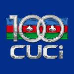100cuci asia
