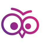 cv owl
