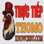 ĐÁ GÀ TRỰC TIẾP