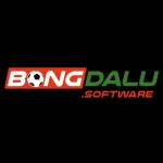Bongd alu