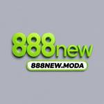 888new moda