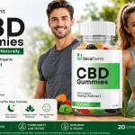 Kennetnapp Kennetnapp