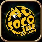 Socolive socolive