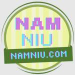 Nam Niu