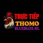 ĐÁ GÀ TRỰC TIẾP BLUBLOX