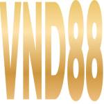 VND88